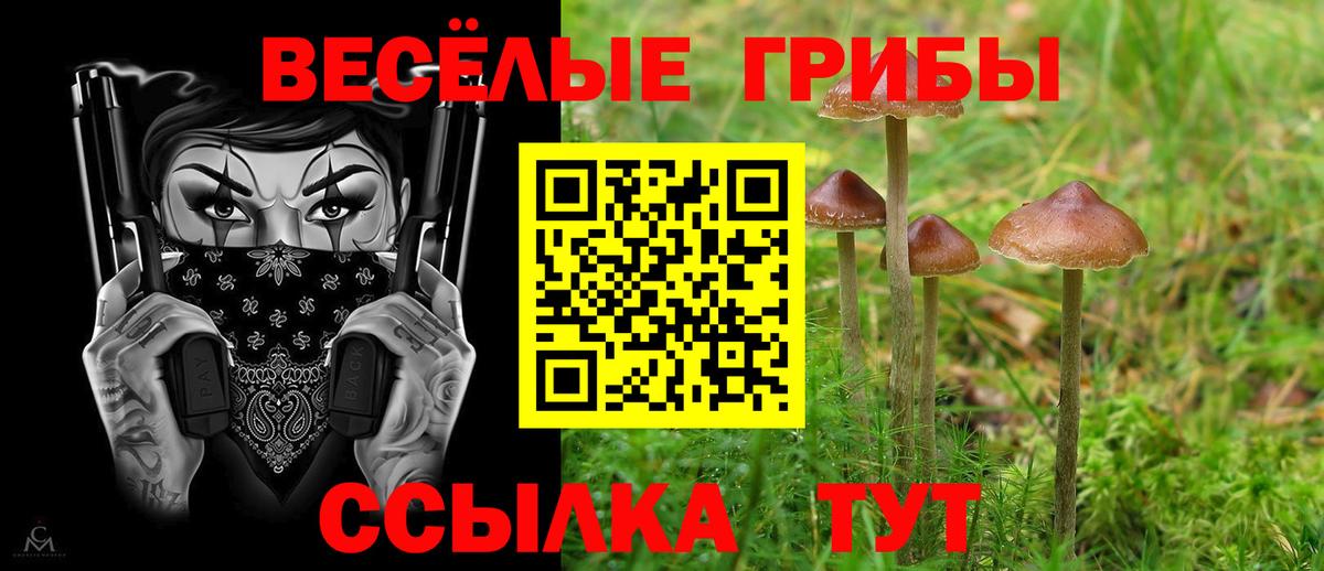 Псилоцибиновые грибы прущие грибы Тулун