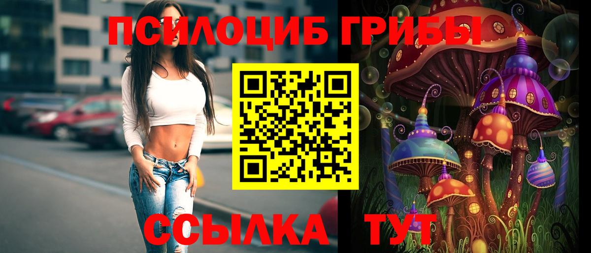 закладки  Вход с VPN  Тулун  Галлюциногенные грибы Psilocybe  Галлюциногенные грибы мухоморы 